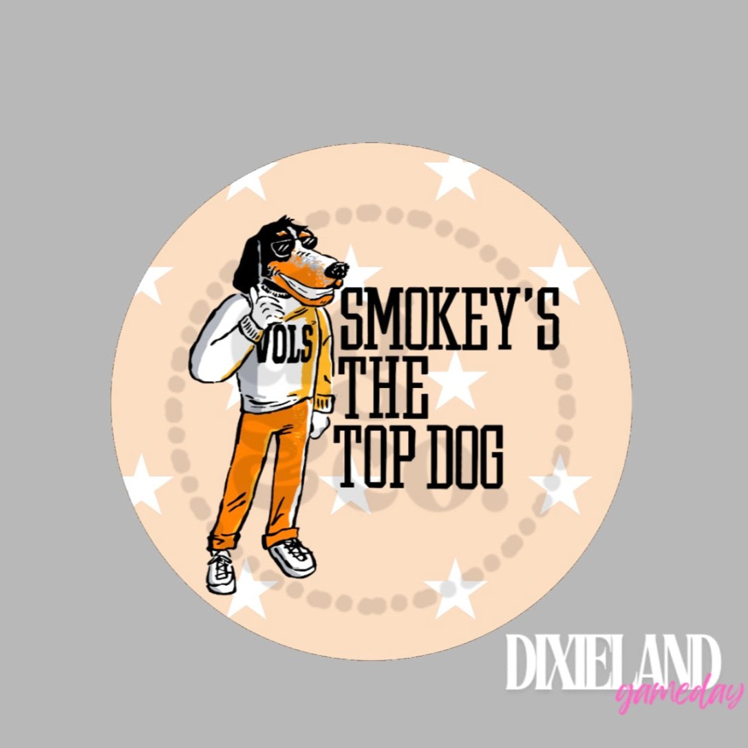 Tennessee Volunteers Smokey's The Top Dog Pin