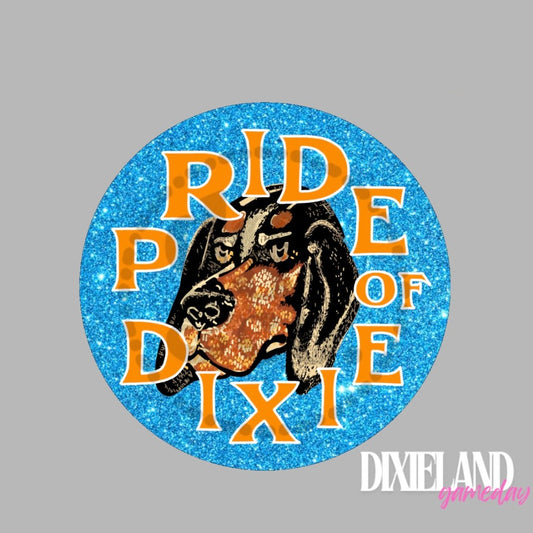 Tennessee Volunteers Pride of Dixie Pin