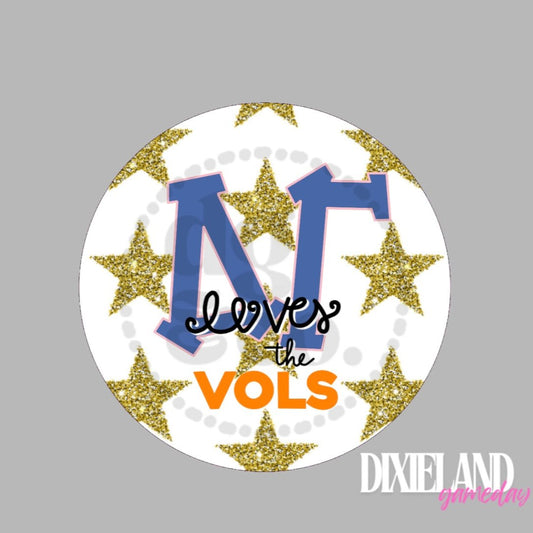 Delta Gamma Loves The Vols Gold Stars Pin